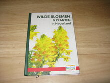 Wilde-bloemen-&amp;-planten-in-Nederland