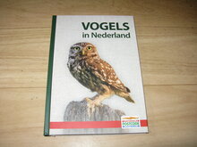 Vogels-in-Nederland